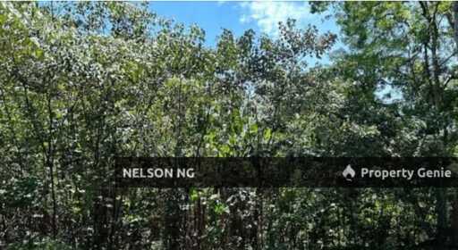 College Heights Garden Resort, Bungalow Lot, Mantin, Negeri Sembilan