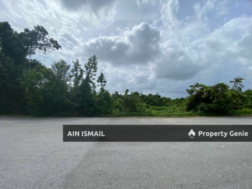 [1St LOT JALAN, 5 EKAR] Freehold Tanah Pertanian Ketapang Hilir, Pekan