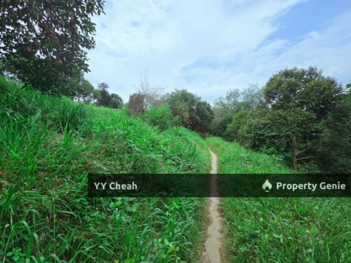Liman Kati Durian Orchard Land For Sale Freehold 5.9acres RM1.2m only