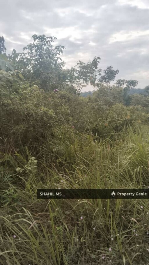 KLUANG JOHOR | KAHANG TIMUR | TANAH PERTANIAN | 6 EKAR | RIZAB MELAYU