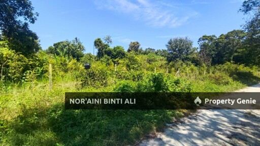 Tanah Jenis Pertanian di Permatang Habib, Pantai Sepat, Mukim Penor, Daerah Kuantan