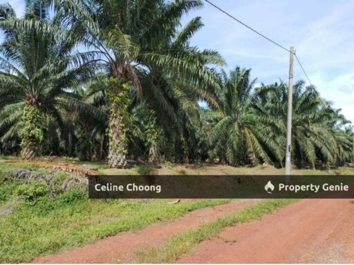 Perak kg gajah solar land