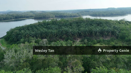 Below Value Durian Tunggal Oil Palm Land 4.1acres ROI 6% 200+- Trees