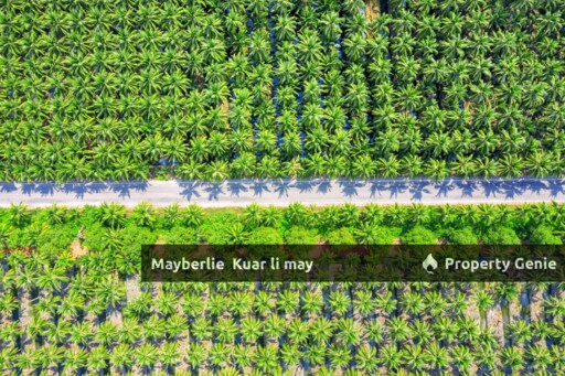 Pahang Land n Farm Rm80mil 39.975Arce For Sale