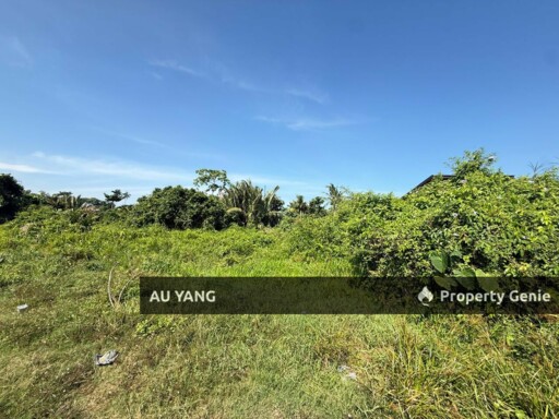 Kampung Manggis Butterworth