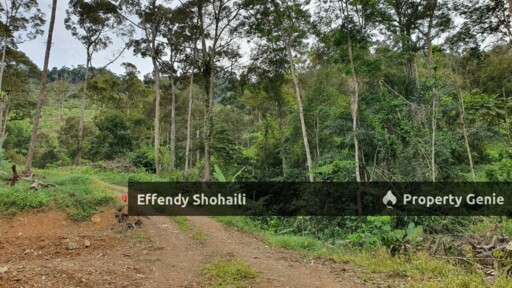 BENTONG JALAN TRAS TANAH PERTANIAN