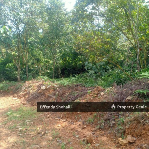SUNGAI PEDANG HULU YAM AGRICULTURAL LAND