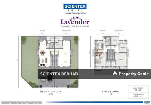 Lavender, Scientex Pulai