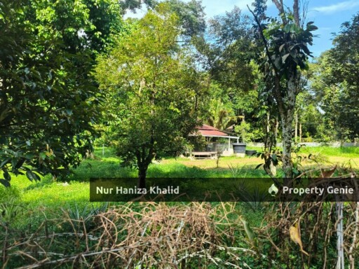 Tanah Dusun Durian Untuk Dijual Lenggeng Negeri Sembilan