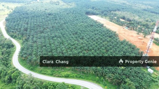 Kota Tinggi Agricultural Land for Sale