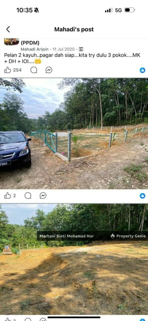 Mature Durian Farm • Tanah Suku Ekar • Kuang