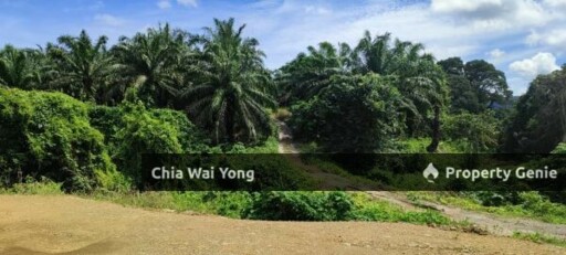 16 Acres Bandar Bera Teriang, Pahang