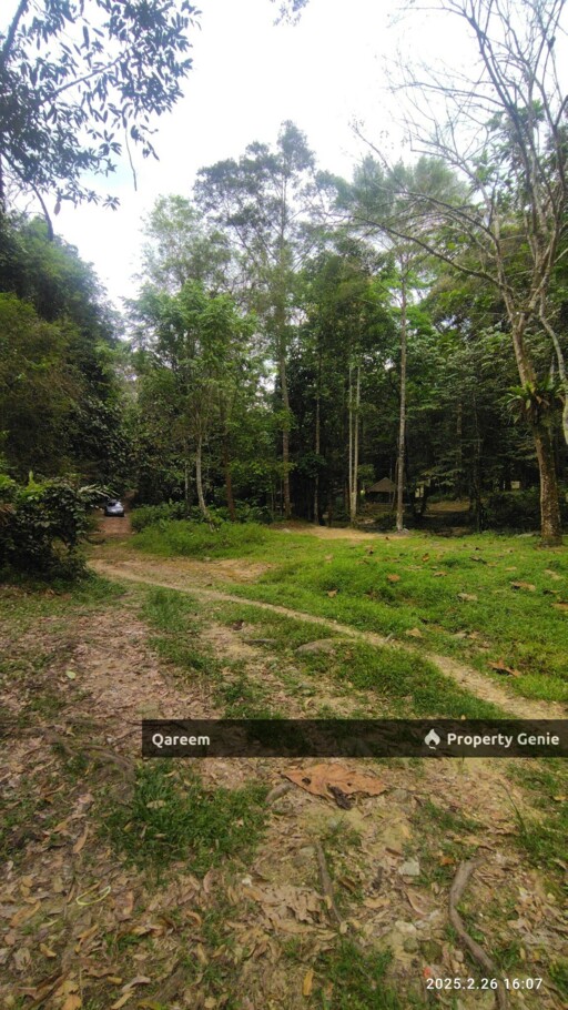 3.84 Ekar Dusun dan Sungai Jernih Cantik, Batang Kali