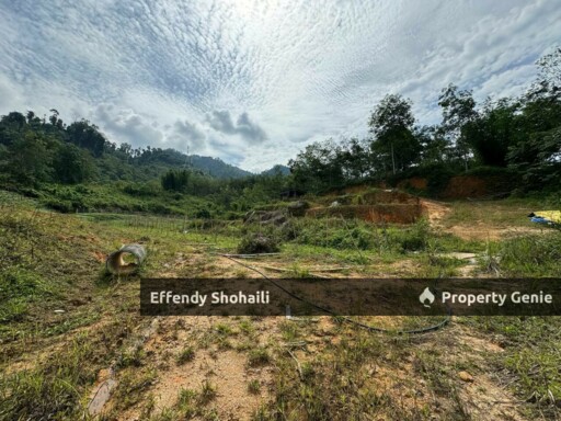JANDA BAIK TANAH PERTANIAN