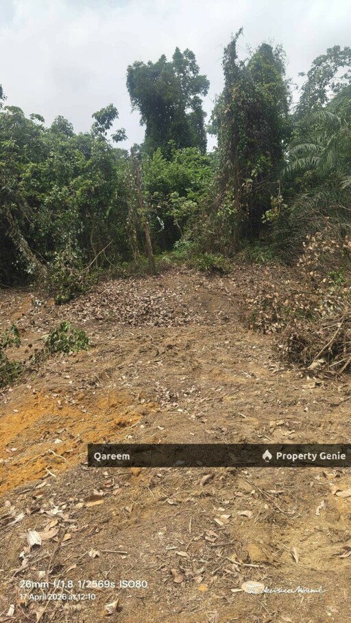30272Sft Lot Bungalow Sungai Plong Sungai Buloh