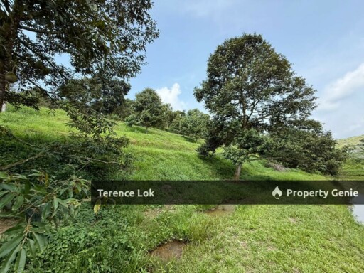 Hosapa, Titi Jelebu Mainroad Land