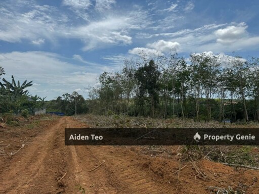 Durian Tunggal For Sale Taman Nuri Sentosa For Sale