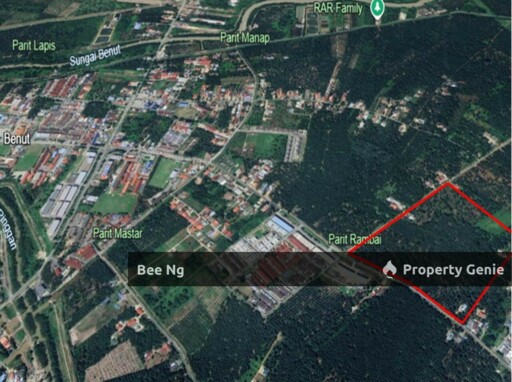 Benut / Pontian / Devolopment Land For Sale