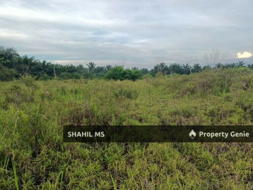 SIMPANG RENGAM JOHOR || JALAN PARIT HAJI YASSIN || TANAH PERTANIAN || 3.852 EKAR || REZAB MELAYU || LEASEHOLAD || RM 220,000