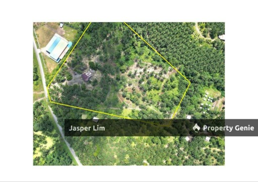 Kau Sing 11.63 Acre Land Tawau