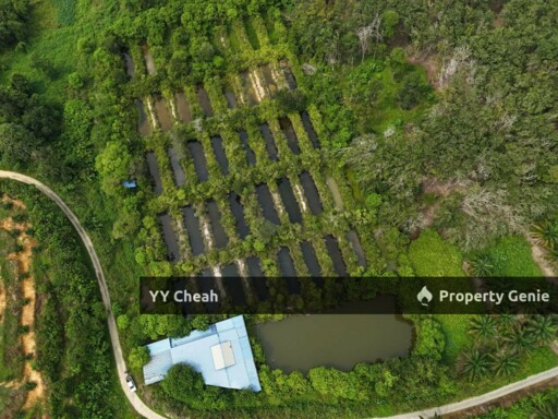Aquaculture Land For Sale Jerlun Kuala Kangsar 4.12acres Freehold