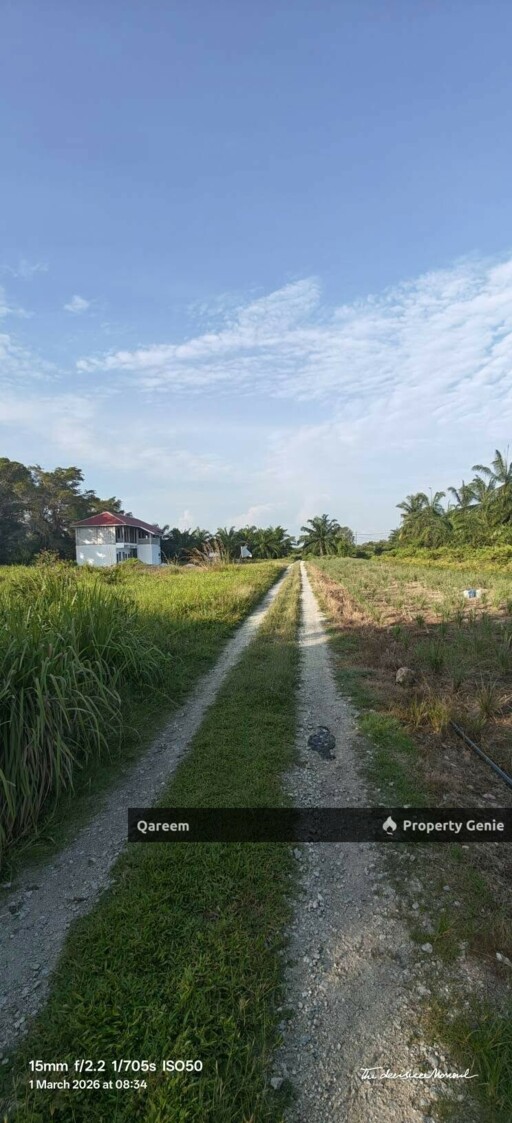 1 Ekar Ladang Sawit Kampung Api Api Bukit Rotan Kuala Selangor