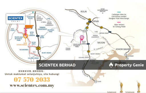 Acacia, Scientex Pulai