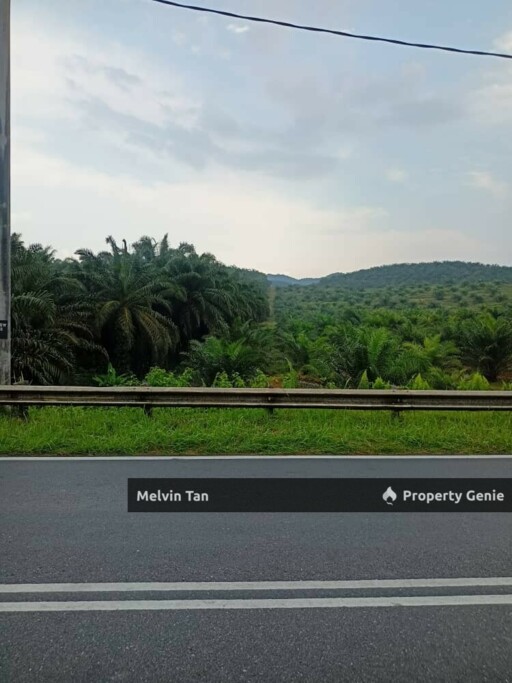 Rompin Negeri Sembilan