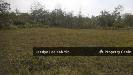 Tanah Kediaman Pulau Meranti, Puchong