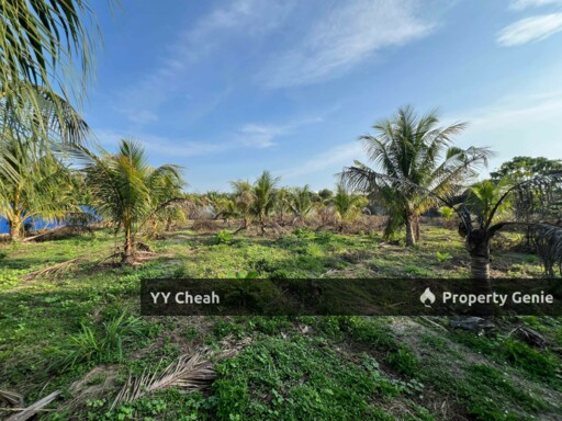 Gopeng Ipoh Perak Agriculture Flat Land For Sale, Freehold Beside road Agricultural Land