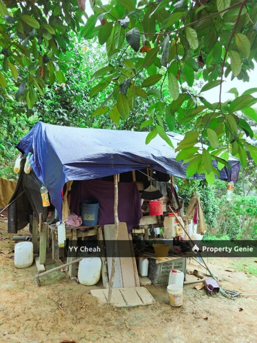 Liman Kati Durian Orchard Land For Sale Freehold 5.9acres RM1.2m only