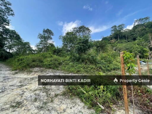 (HOT AREA) TANAH KEBUN DI BUKIT KUIN 2, KUANTAN