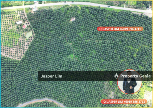 (Semporna - Kunak) CL Land 69 Acres