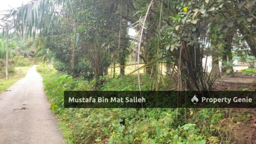 [FREEHOLD] 2 Lots, Kampung Terap Batu 12, Kulim