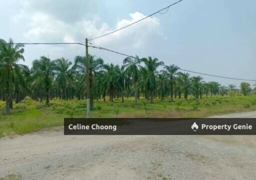 Johor JB , Solar Land