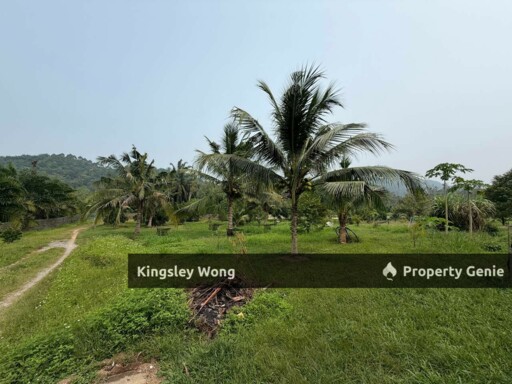 Jalong Tinggi Sg Siput Easy Entry with Asphalt Road 4 Acres Durian Orchard Farm