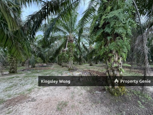 Sungai Siput Jalong Tinggi Freehold Agricultural Land 5 from Main Road