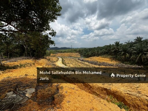 [BERHAMPIRAN JALAN UTAMA] TANAH PERTANIAN 4.9 EKAR, MUKIM TEBAK AIR PUTIH