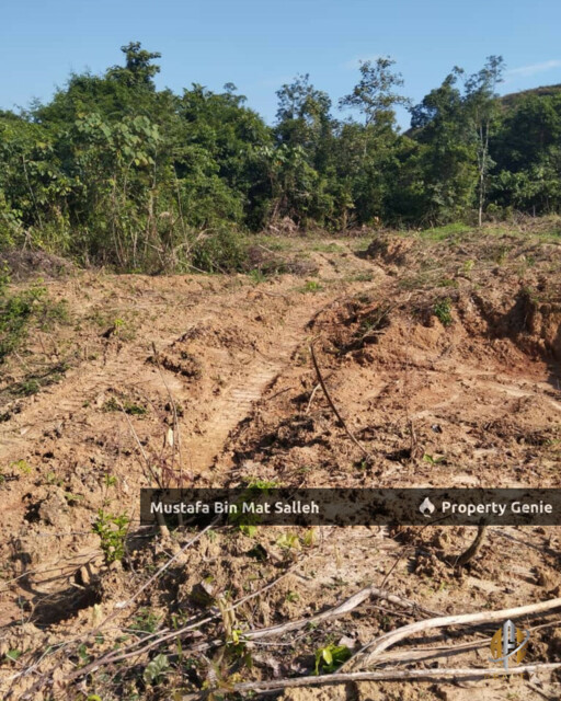Tanah Kebun Getah Klon PB 350 Lubok Datu Pokok Sena Kedah