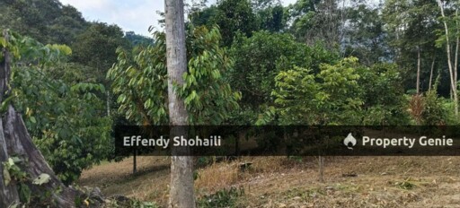 HULU LANGAT TANAH PERTANIAN