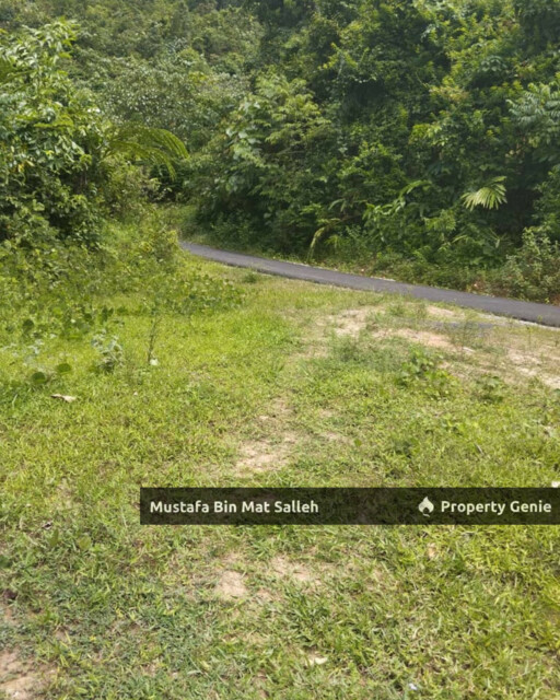 Tanah Kebun Getah Klon PB 350 Lubok Datu Pokok Sena Kedah