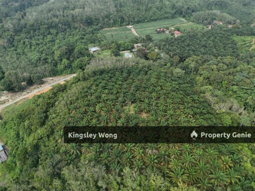 Kampung Ribu Kuala Kangsar 4.3 Acre Oil Palm Agriculture Land