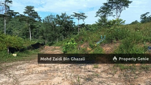 Area 3.78 Acre (1 Lots) of Agriculture Land Along Jenderam to Salak Tinggi Road (B48), Salak Tinggi, Sepang.
