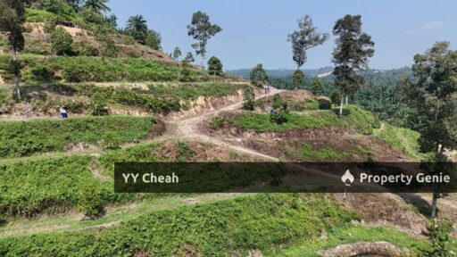 Sg Siput Perak 10 Acres Agri Land For Sale Durian & Orchard 10 Acres Freehold