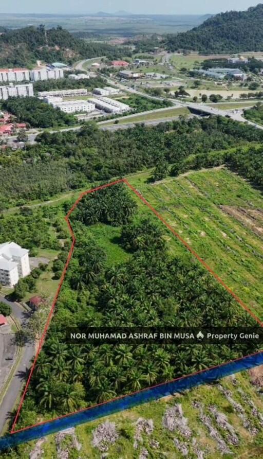 Tanah Kebun Kelapa Sawit Tepi Hinghway Changlun, Kedah