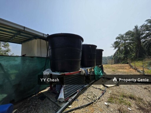 Sg Siput Perak 10 Acres Agri Land For Sale Durian & Orchard 10 Acres Freehold