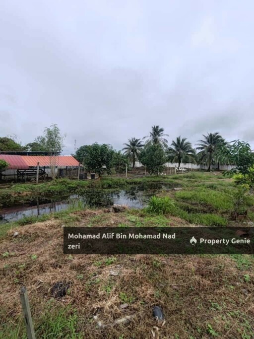 Rumah Banglo Atas Tanah 1 Relong + Ladang Ternakan | Fully Furnished