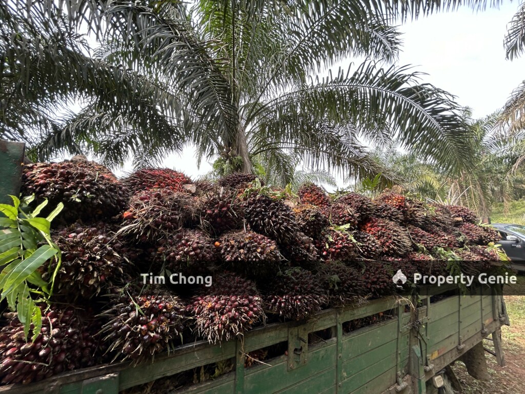 FOR SALE RM125k KOTA TINGGI