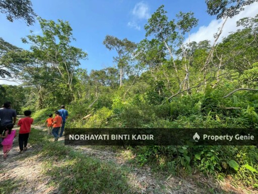 (HOT AREA) TANAH KEBUN DI BUKIT KUIN 2, KUANTAN