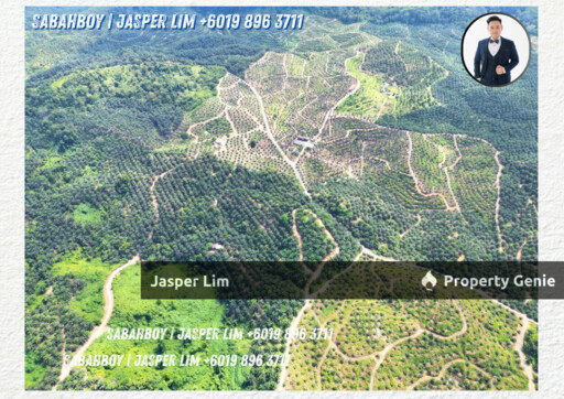 Kunak Plantation Land